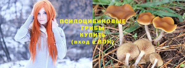 спайс Алексеевка
