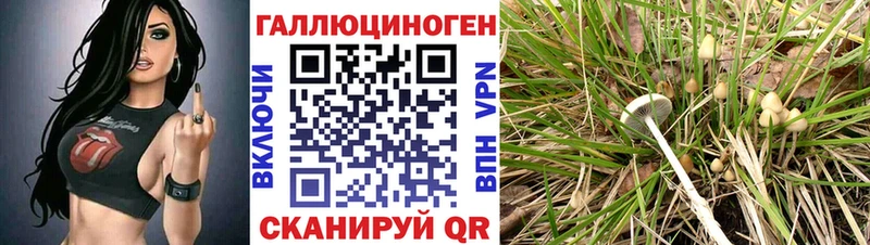 Псилоцибиновые грибы Cubensis площадка формула Кемь